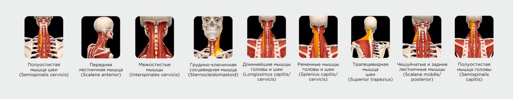 1571lzcwtfx0pb8ec0ntyloa5m9j43t1.jpg 1571lzcwtfx0pb8ec0ntyloa5m9j43t1.jpg